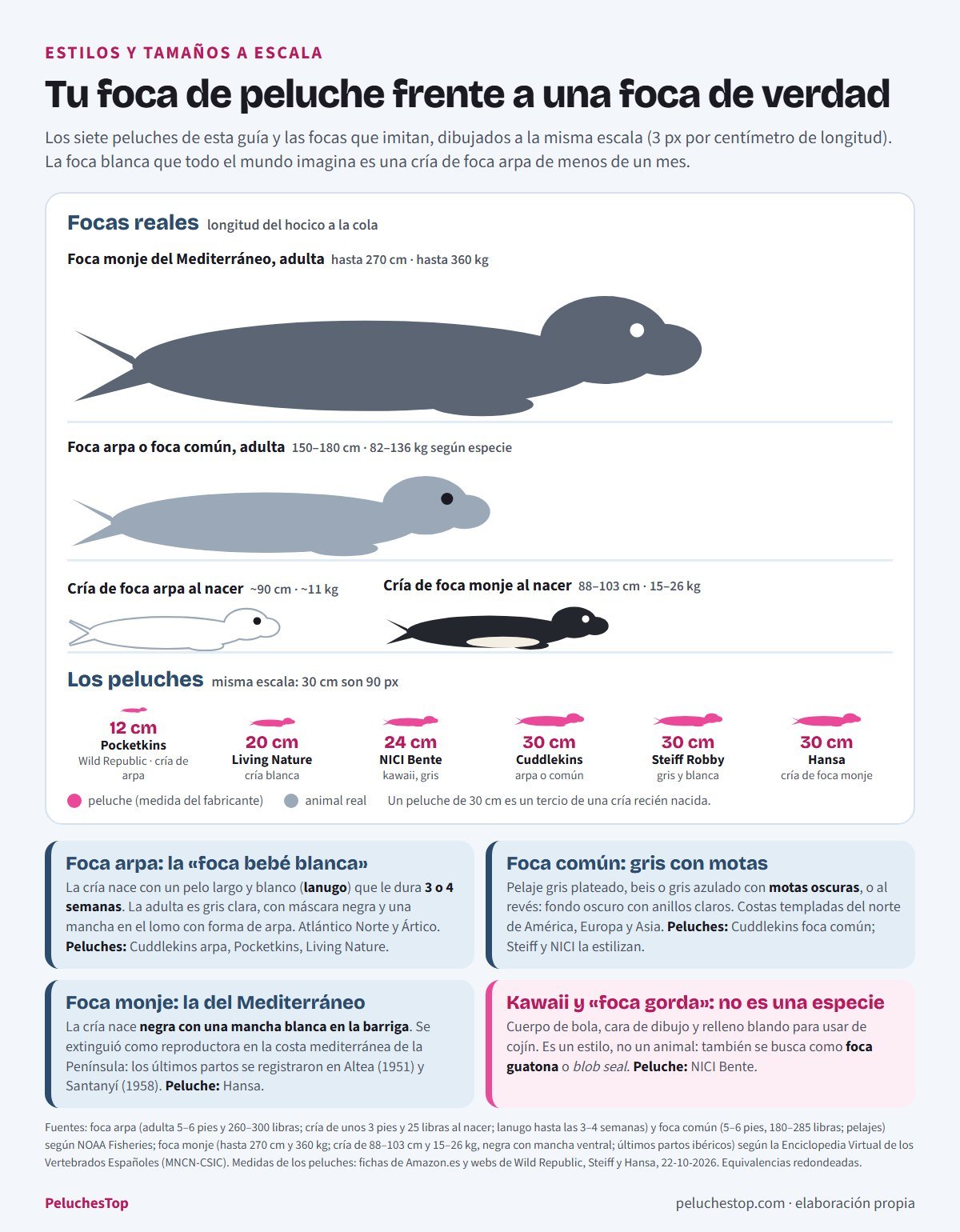 Siluetas a la misma escala de una foca monje adulta de hasta 270 cm, una foca arpa o común adulta de 150 a 180 cm, una cría de foca arpa de unos 90 cm al nacer y una cría de foca monje de 88 a 103 cm, junto a los peluches de la guía (Pocketkins 12 cm, Living Nature 20 cm, NICI Bente 24 cm, Cuddlekins, Steiff Robby y Hansa de 30 cm); debajo, cómo reconocer la foca arpa, la foca común, la foca monje y el estilo kawaii o «foca gorda»