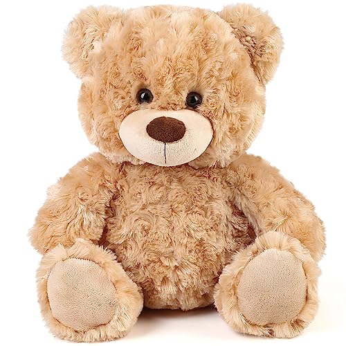 LotFancy Osito de Peluche clásico 30 cm
